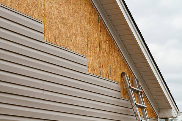 Professional Wood Siding technician working in Holloway, OH